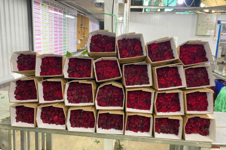 Thất Tịch, Valentine của phương Đông