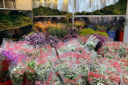 Kinh nghiệm mua chọn mua hoa tươi Đà Lạt đẹp