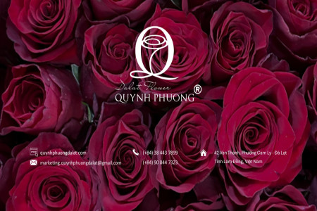 Quy trình sản xuất hoa tươi cắt cành tiêu chuẩn