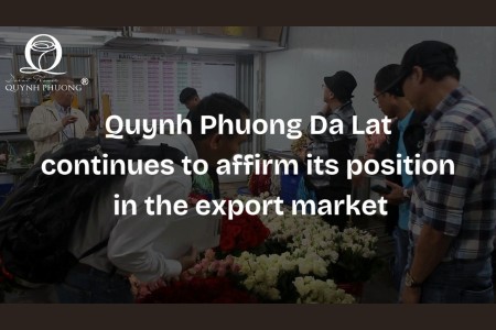 Quỳnh Phương Đà Lạt tiếp tục khẳng định vị thế trên thị trường xuất khẩu