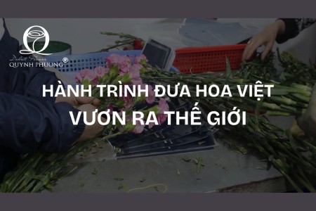 Quỳnh Phương mang hoa Việt vươn ra thế giới