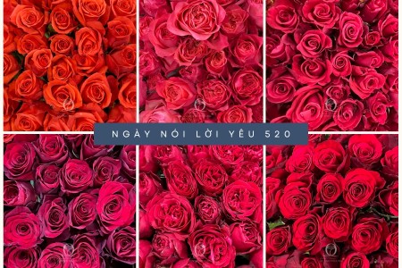 520 – Ngày “Tỏ Tình” Đặc Biệt Của Giới Trẻ Trung Quốc