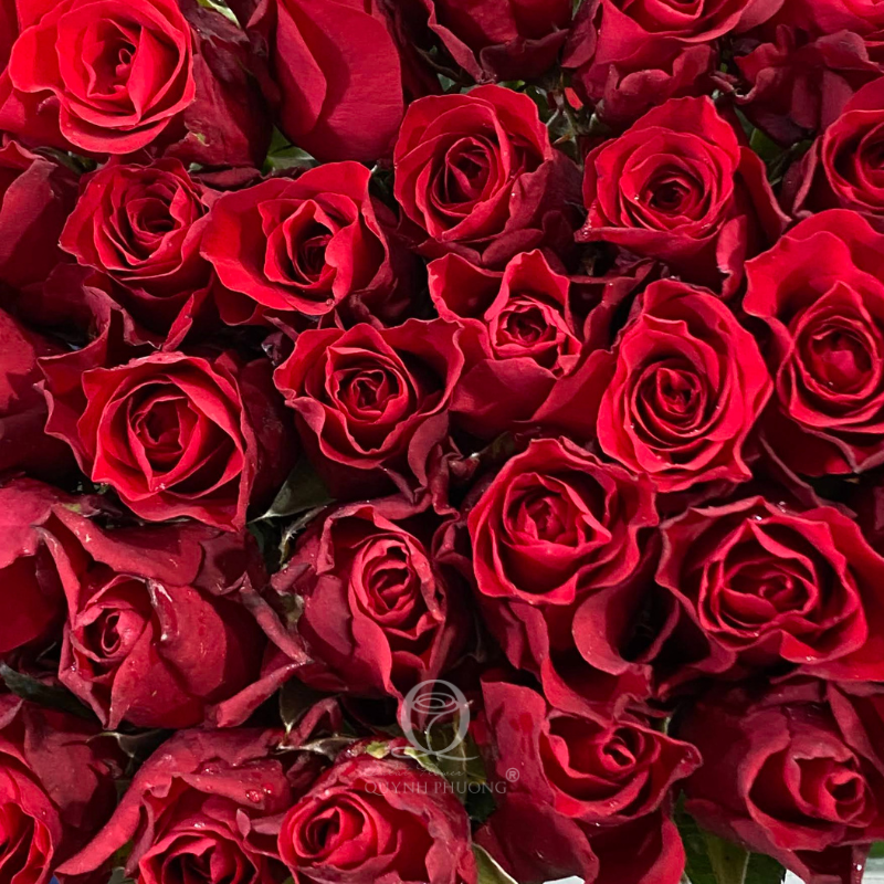 Flower Image