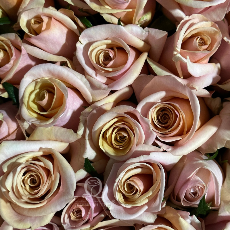 Flower Image