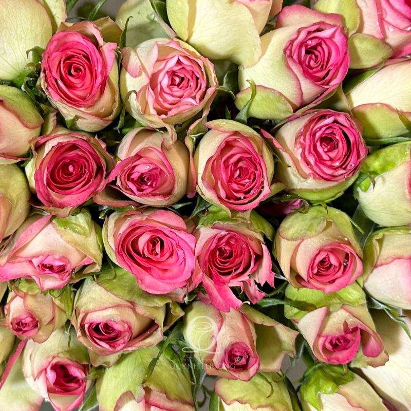 Flower Image