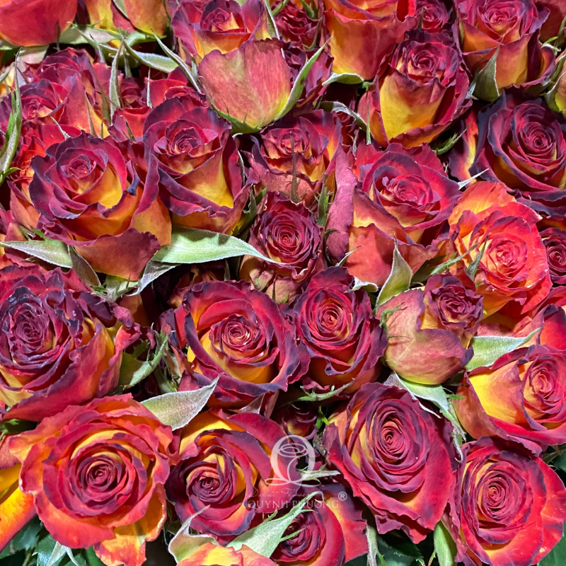 Flower Image