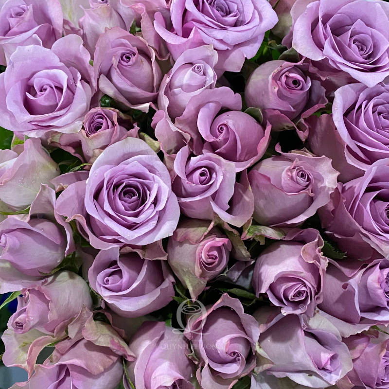 Flower Image