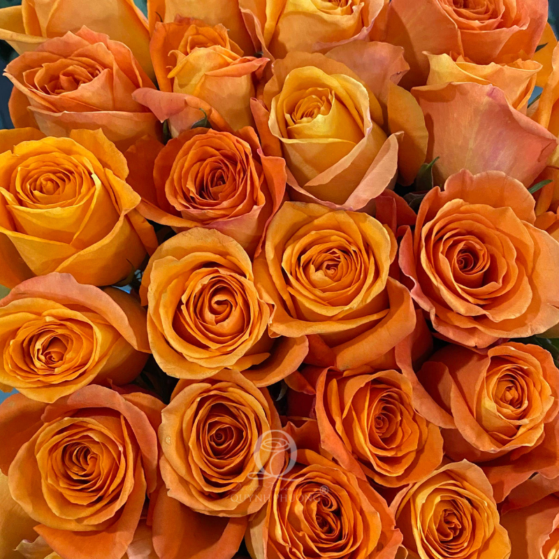 Flower Image