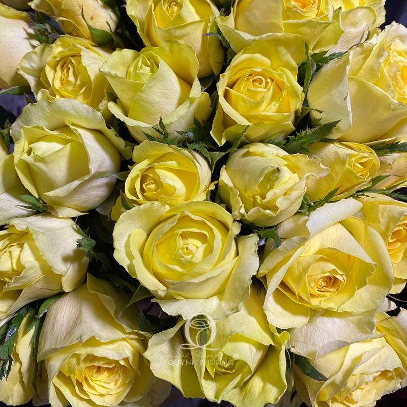 Flower Image