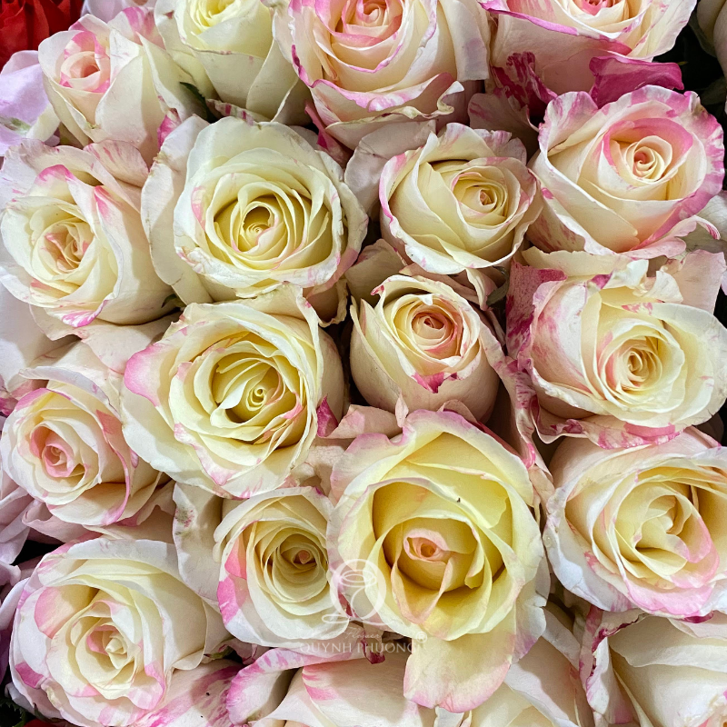 Flower Image