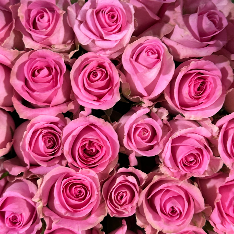Flower Image