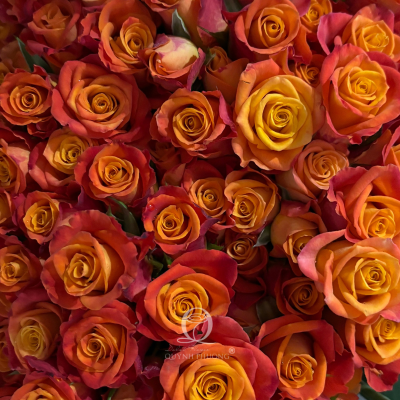 Flower Image
