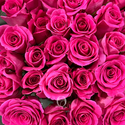 Flower Image