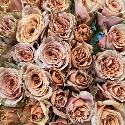 Flower Image
