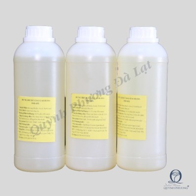 Chế phẩm sinh học Tog Galileo