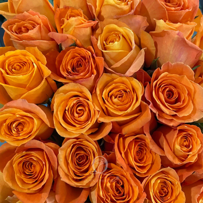 Flower Image