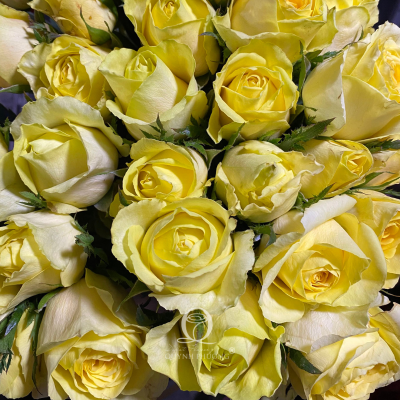 Flower Image