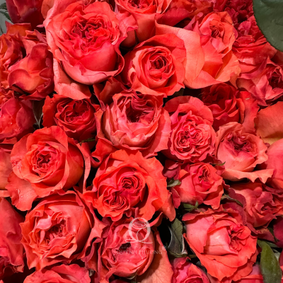 Flower Image