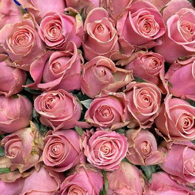 Flower Image