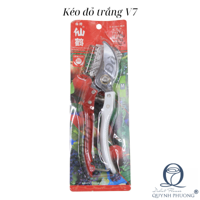 Kéo đỏ trắng V7