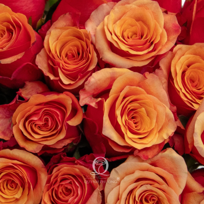 Flower Image