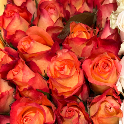 Flower Image